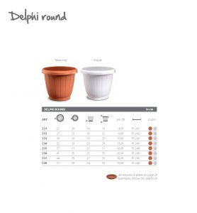 delphi round