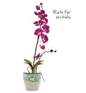 Roto for Orchids